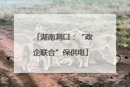 湖南洞口：“政企联合”保供电