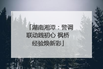 湖南湘潭：警调联动践初心 枫桥经验焕新彩