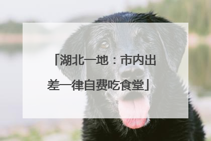 湖北一地：市内出差一律自费吃食堂