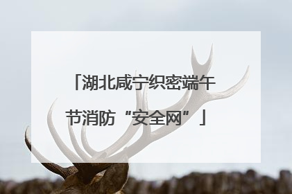 湖北咸宁织密端午节消防“安全网”