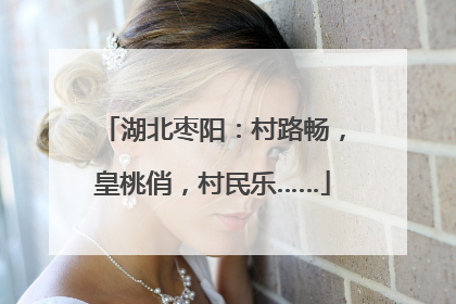 湖北枣阳：村路畅，皇桃俏，村民乐……