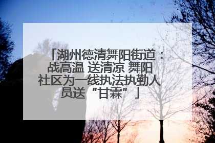 湖州德清舞阳街道：战高温 送清凉 舞阳社区为一线执法执勤人员送“甘霖”