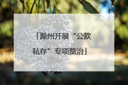 滁州开展“公款私存”专项整治