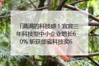 满满的科技感！宜宾三年科技型中小企业增长60% 斩获部省科技奖6项｜您牵挂的四川
