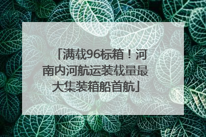 满载96标箱！河南内河航运装载量最大集装箱船首航