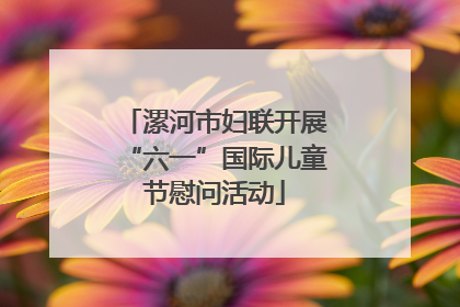 漯河市妇联开展“六一”国际儿童节慰问活动