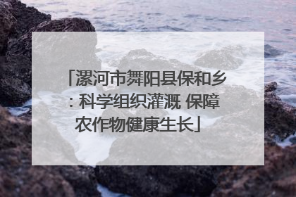 漯河市舞阳县保和乡：科学组织灌溉 保障农作物健康生长