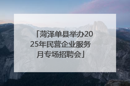 菏泽单县举办2025年民营企业服务月专场招聘会