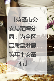 菏泽市公安局定陶分局：为全区高质量发展筑牢平安基石