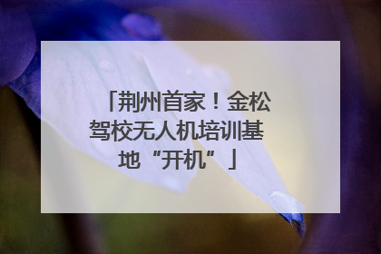 荆州首家！金松驾校无人机培训基地“开机”