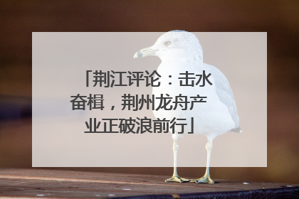 荆江评论：击水奋楫，荆州龙舟产业正破浪前行