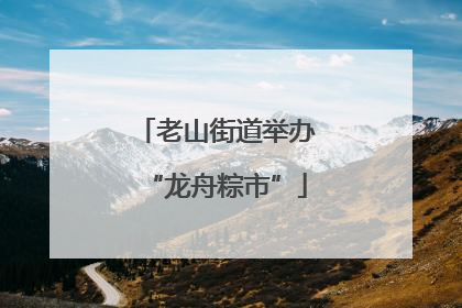 老山街道举办“龙舟粽市”