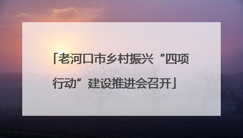 老河口市乡村振兴“四项行动”建设推进会召开