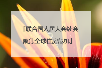 联合国人居大会续会聚焦全球住房危机