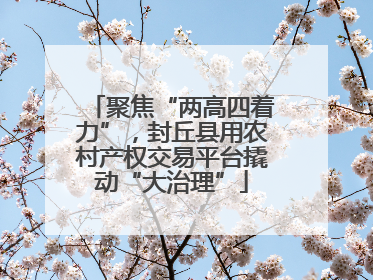 聚焦“两高四着力”，封丘县用农村产权交易平台撬动“大治理”