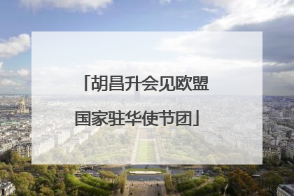 胡昌升会见欧盟国家驻华使节团