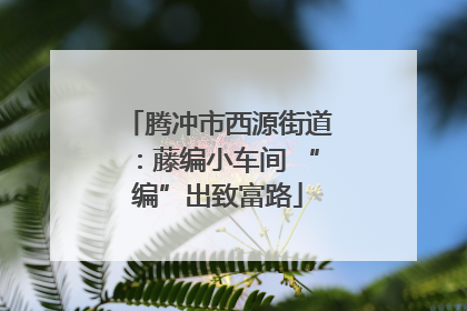 腾冲市西源街道：藤编小车间 “编”出致富路