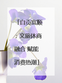 自贡富顺：文旅体商融合 赋能消费热潮
