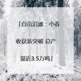 自贡沿滩：小春收获新突破 总产量近3.5万吨