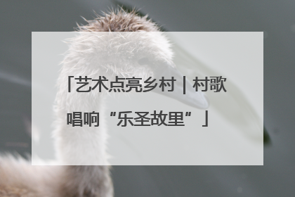 艺术点亮乡村｜村歌唱响“乐圣故里”
