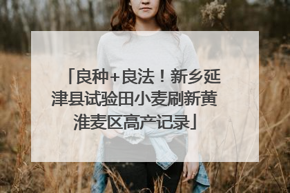 良种+良法！新乡延津县试验田小麦刷新黄淮麦区高产记录
