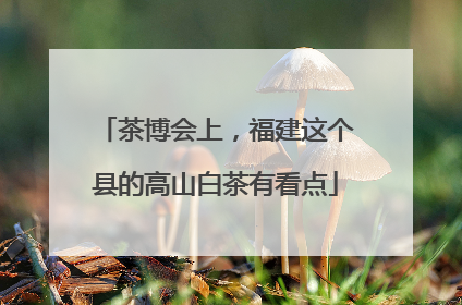 茶博会上，福建这个县的高山白茶有看点