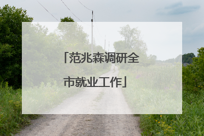 范兆森调研全市就业工作