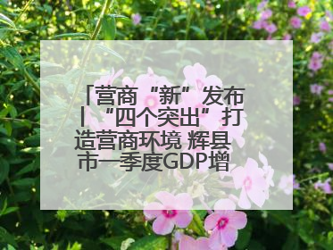 营商“新”发布丨“四个突出”打造营商环境 辉县市一季度GDP增长6.9% 36个重点项目落地