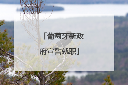 葡萄牙新政府宣誓就职