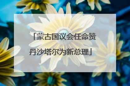 蒙古国议会任命赞丹沙塔尔为新总理