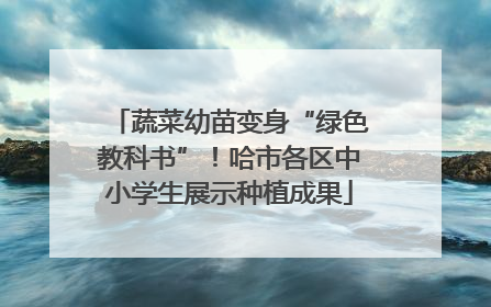 蔬菜幼苗变身“绿色教科书”！哈市各区中小学生展示种植成果