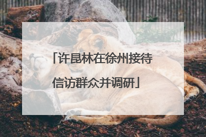 许昆林在徐州接待信访群众并调研