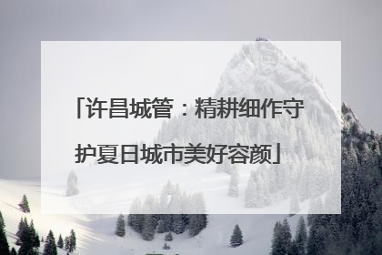 许昌城管：精耕细作守护夏日城市美好容颜