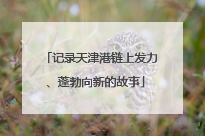 记录天津港链上发力、蓬勃向新的故事