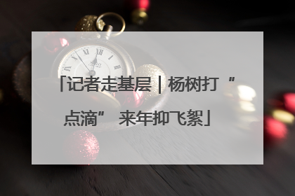 记者走基层｜杨树打“点滴” 来年抑飞絮
