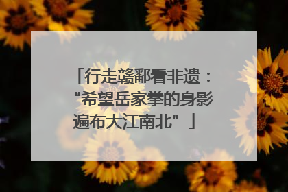行走赣鄱看非遗：“希望岳家拳的身影遍布大江南北”