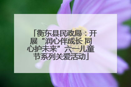 衡东县民政局：开展“润心伴成长 同心护未来”六一儿童节系列关爱活动