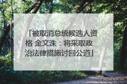 被取消总统候选人资格 金文洙：将采取政治法律措施讨回公道