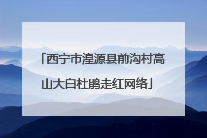 西宁市湟源县前沟村高山大白杜鹃走红网络