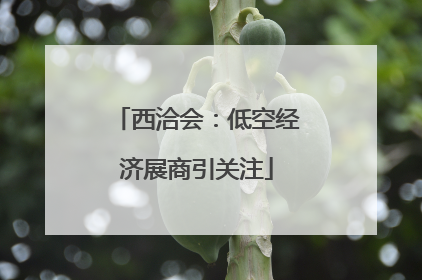 西洽会：低空经济展商引关注