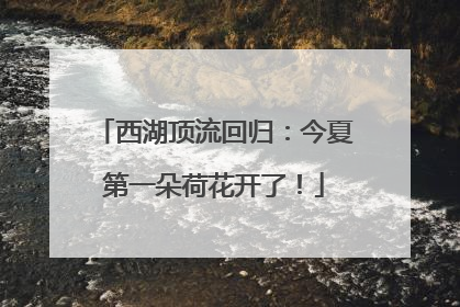 西湖顶流回归：今夏第一朵荷花开了！