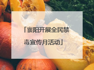 襄阳开展全民禁毒宣传月活动