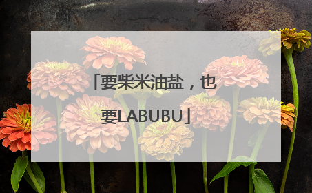 要柴米油盐，也要LABUBU