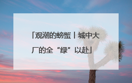 观潮的螃蟹丨城中大厂的全“绿”以赴