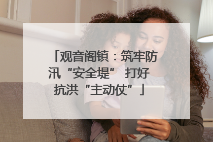 观音阁镇：筑牢防汛“安全堤” 打好抗洪“主动仗”