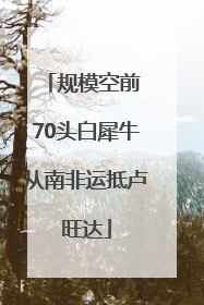 规模空前 70头白犀牛从南非运抵卢旺达