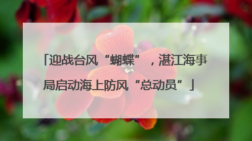 迎战台风“蝴蝶”，湛江海事局启动海上防风“总动员”