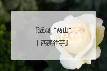 近观“两山”丨西溪往事