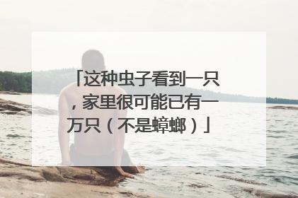 这种虫子看到一只，家里很可能已有一万只（不是蟑螂）