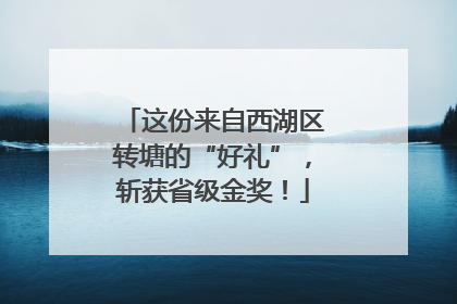 这份来自西湖区转塘的“好礼”，斩获省级金奖！
